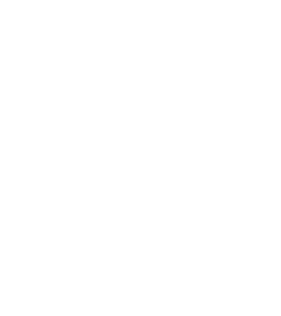 bmdt