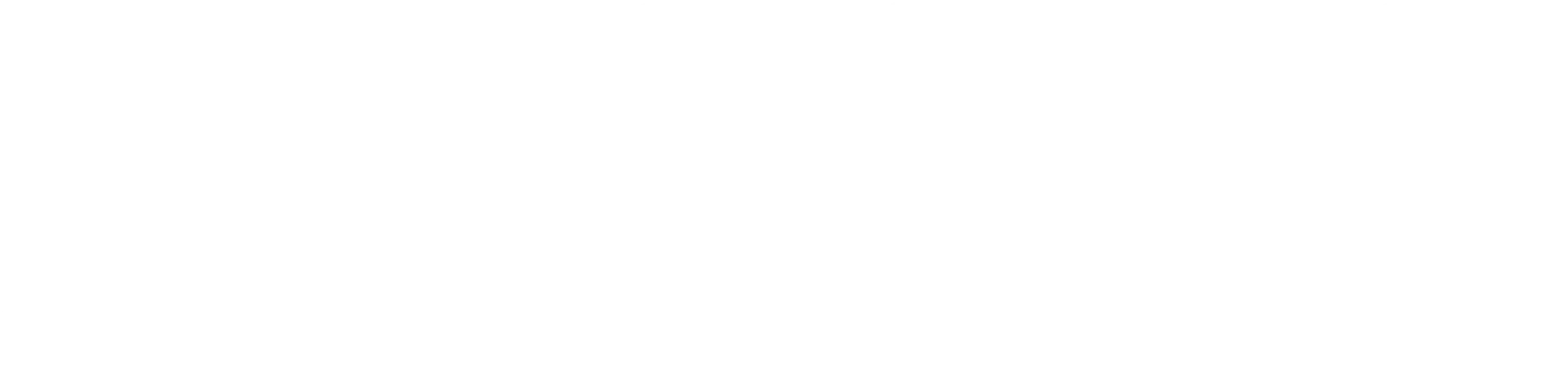 MVM