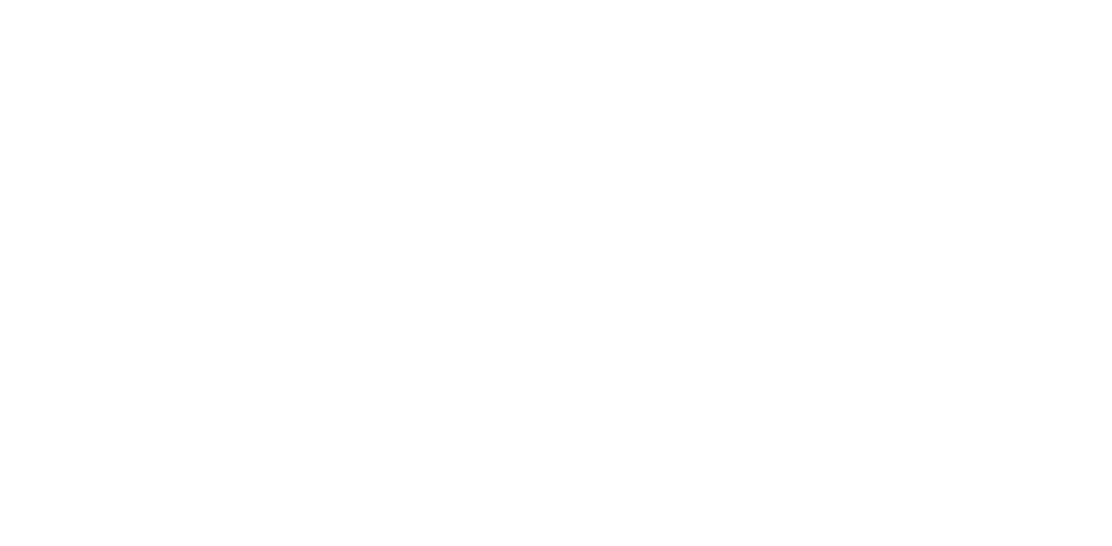 punctul
