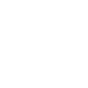 eldi